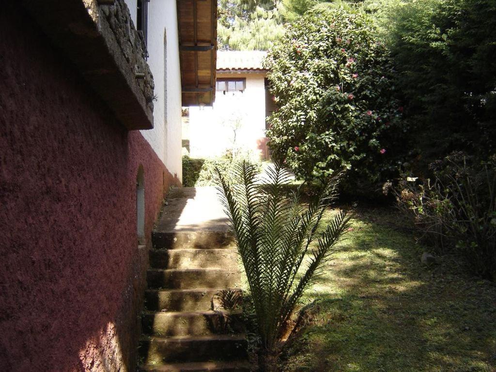 Casa Das Dalias Monteverde Extérieur photo